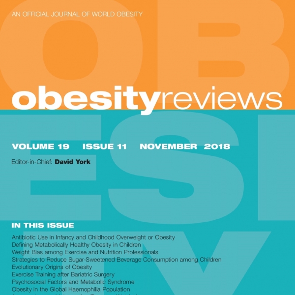 literature review about obesity