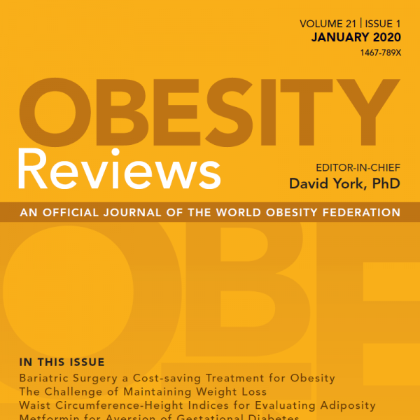 obesity in literature review