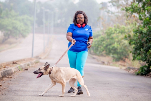 Dog walking 3