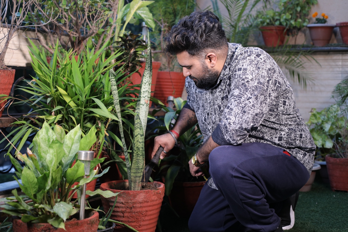 Tending to plants