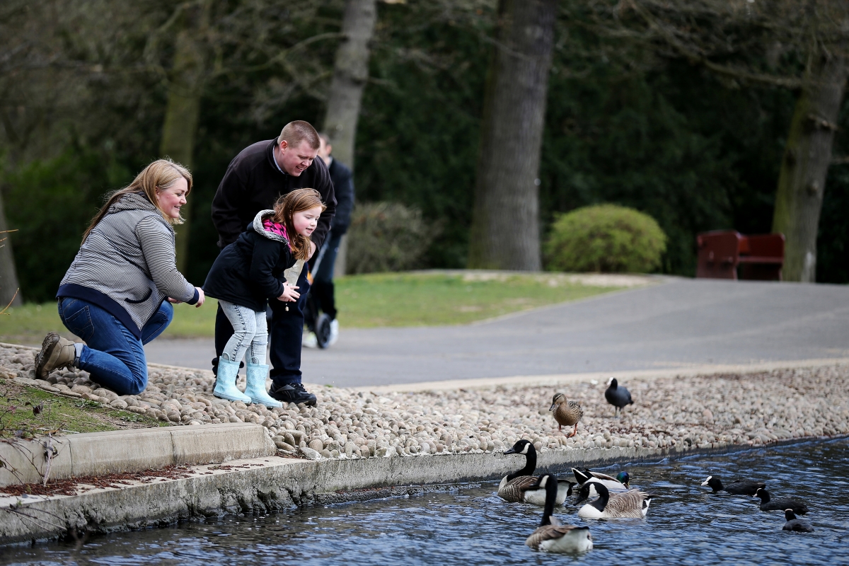 Family by pond feeding ducks 